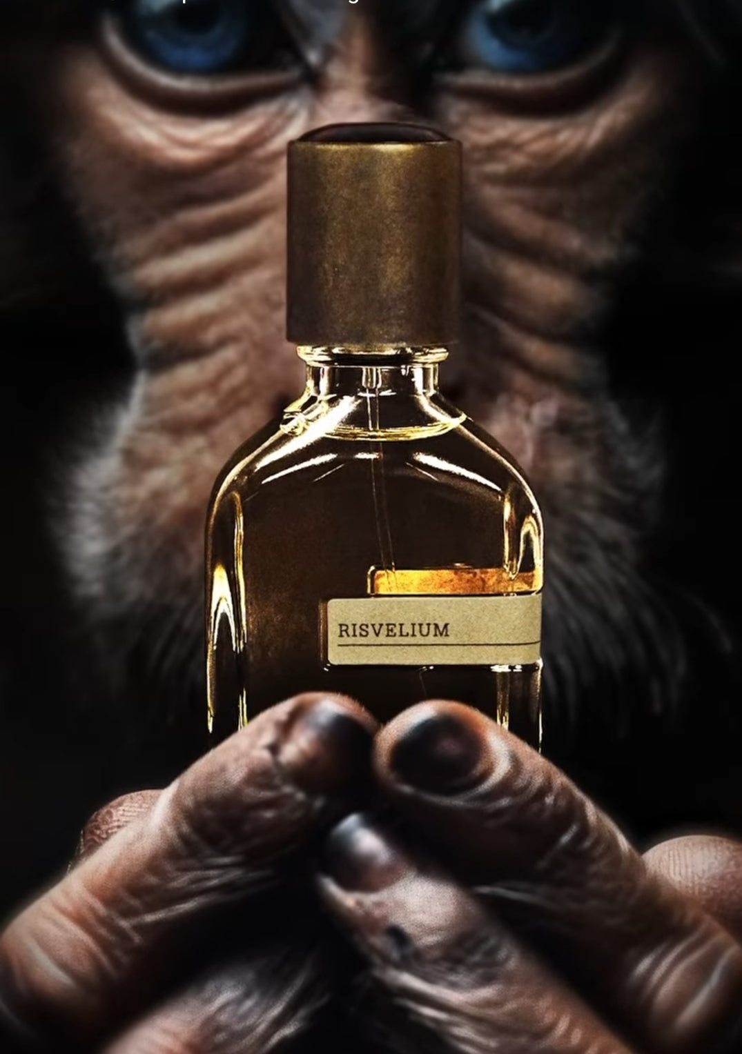 Orto Parisi - Risvelium