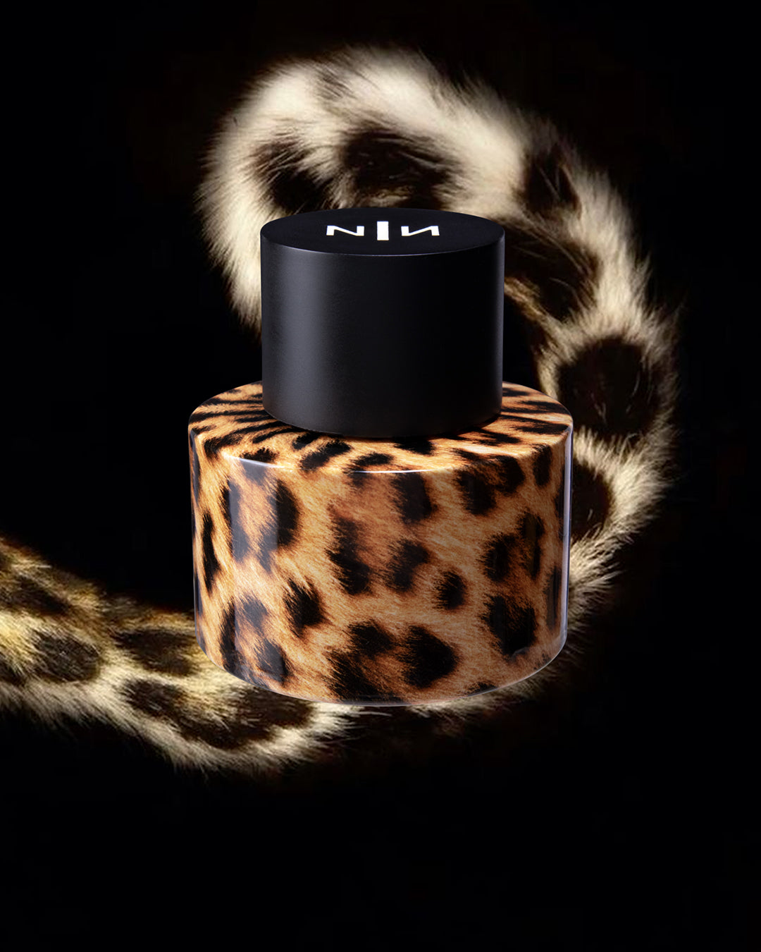 New Notes - Felina