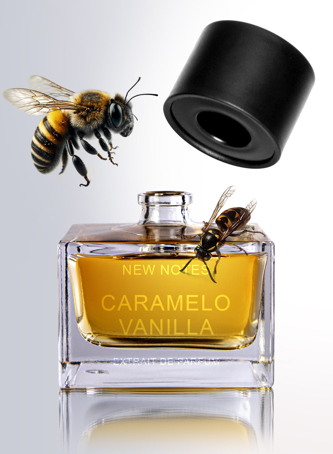 New Note - Caramelo Vanilla